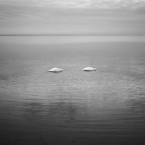 Sans Titre, de la série <em>Recetario</em>