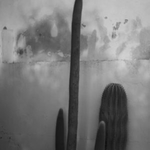 Sans Titre, de la série <em>Mi</em>