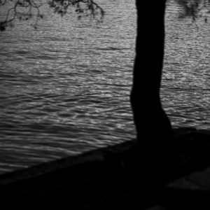 Sans Titre, de la série <em>Mi</em>